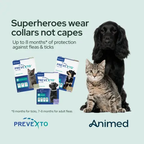 Animed ad: New Prevexto flea & tick collars