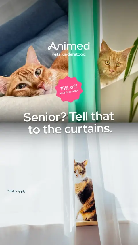 Animed ad: Chaos has no age limit