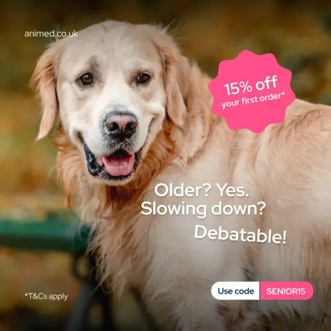 Animed ad: Still acting like a puppy.