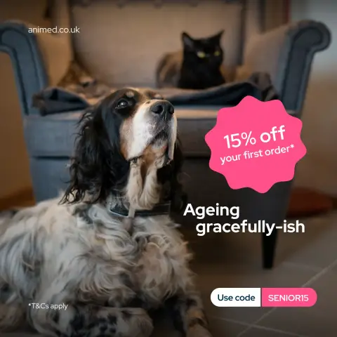 Animed ad: Still the best part of the day.