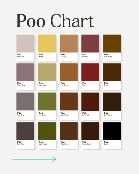 Symprove ad: Fact v fiction: Poo 101 what’s ‘normal’ anyway?