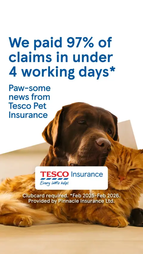 Tesco Insurance ad: Tesco Pet Insurance