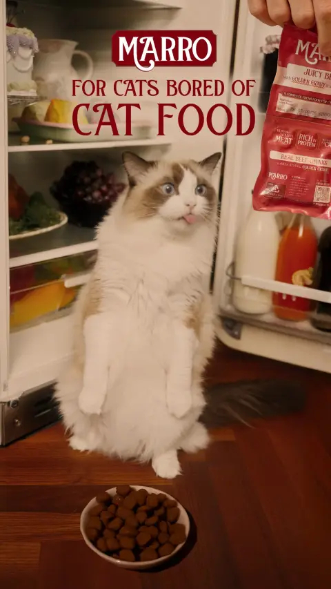 Marro ad: Ready To Start Fresh?