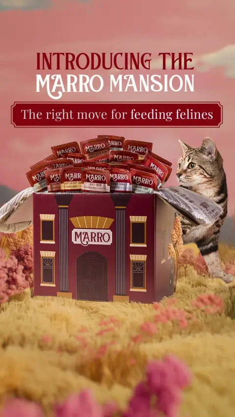 Marro ad: Fresh Food, No Fuss