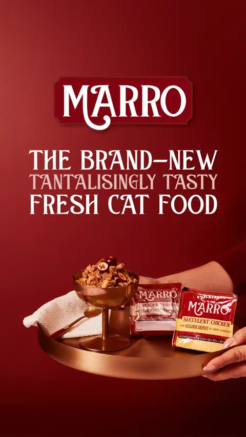 Marro ad: Fresh Food, No Fuss
