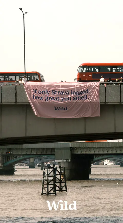 Wild ad: 72hr BO Protection From Wild
