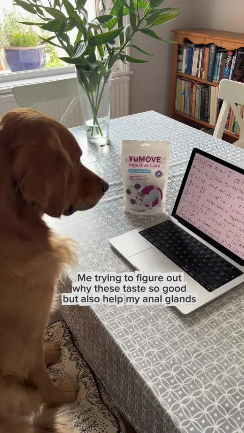 YuMOVE UK ad: Show their joints some love & get 50% off YuMOVE Joint Care for Dogs today! 🐾…