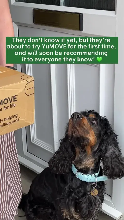 YuMOVE UK ad: Supplements for dogs