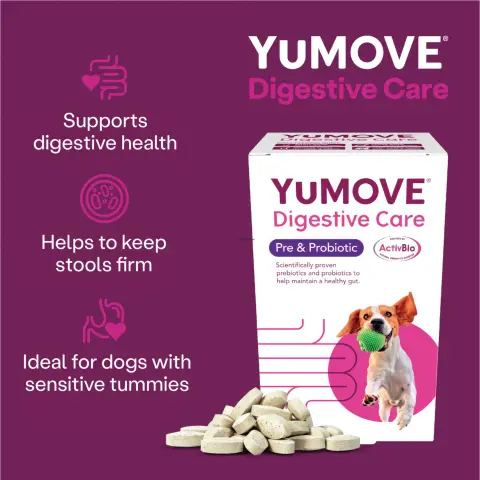 YuMOVE UK ad: YuMOVE Digestive Care for dogs