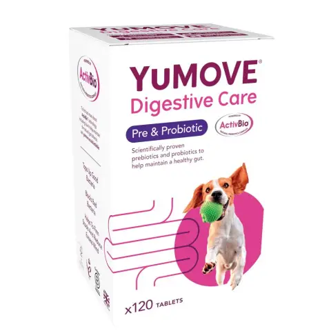 YuMOVE UK ad: Digestive Care Probiotic & Fibre for Dogs