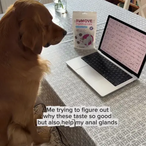 YuMOVE UK ad: Better dog poos with YuMOVE Digestive Care