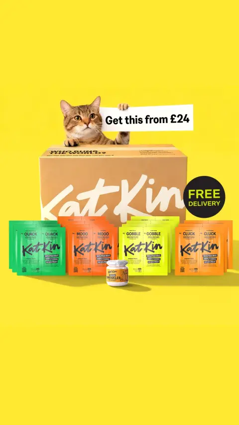 KatKin ad: Fluff-free fresh cat food. Now 20% off.