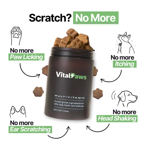 VitalPaws ad: 🐶 BLACK FRIDAY | 40% OFF!