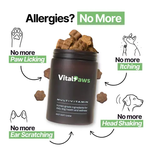 VitalPaws ad: NOW 40% OFF!