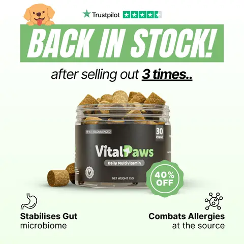 VitalPaws ad: Boost Your Dog's Health Today!