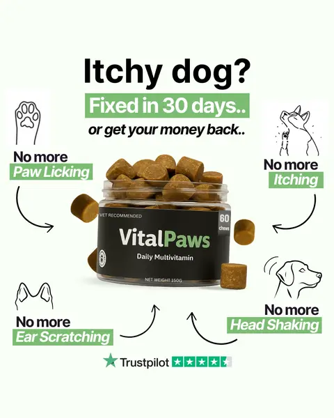 VitalPaws ad: NOW 40% OFF!