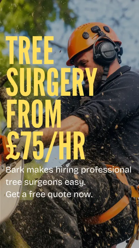 Bark.com ad: Affordable Tree Surgery & Removal