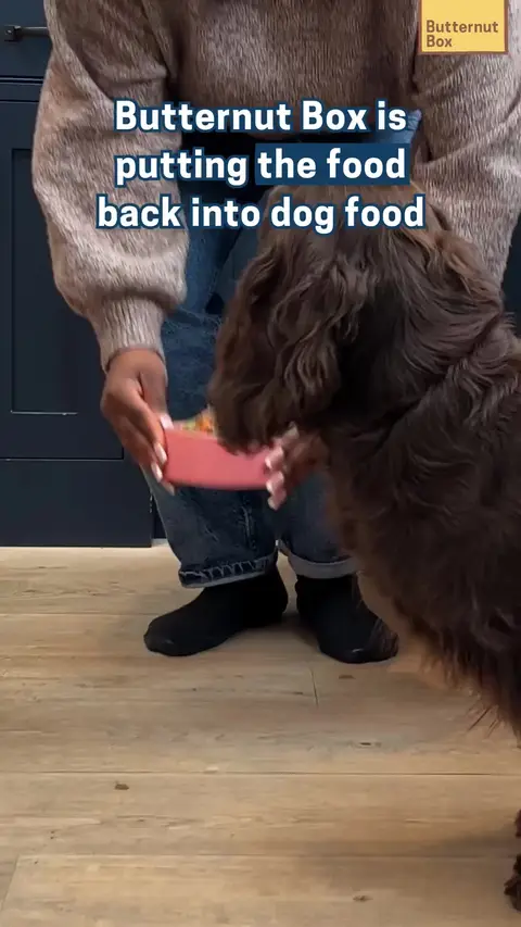 Butternut Box ad: Butternut Box: Fetch 25% Off Your First Two Boxes