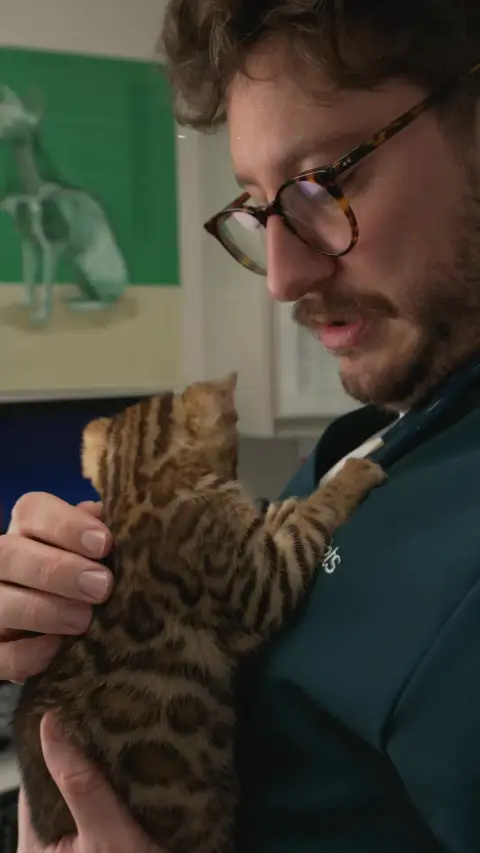 Pets UK ad: Locally owned, locally loved.
