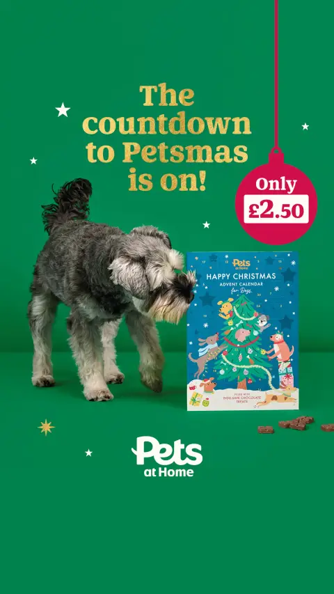 Pets UK ad: Advent calendars have arrived