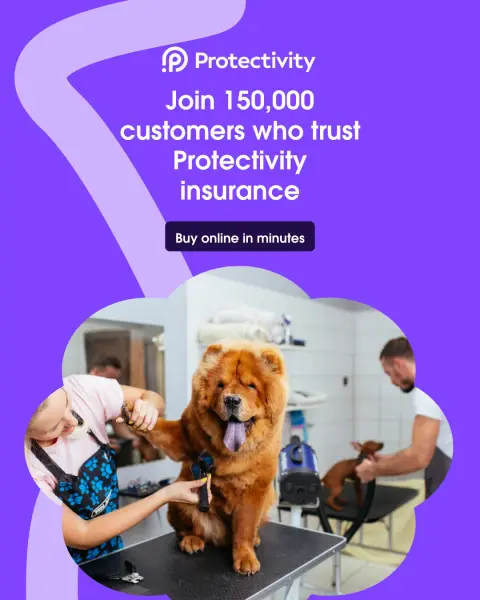 Protectivity ad: Dog Grooming Insurance