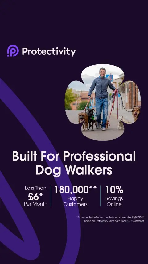 Protectivity ad: Dog Walking Insurance