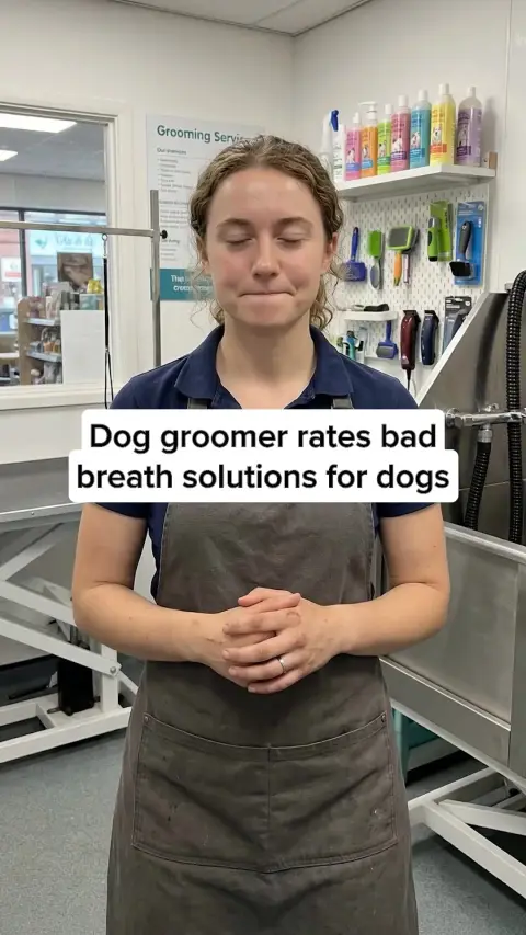 Healthy Dog 24/7 ad: Vets Love It. Dogs Love It. Owners Trust It.