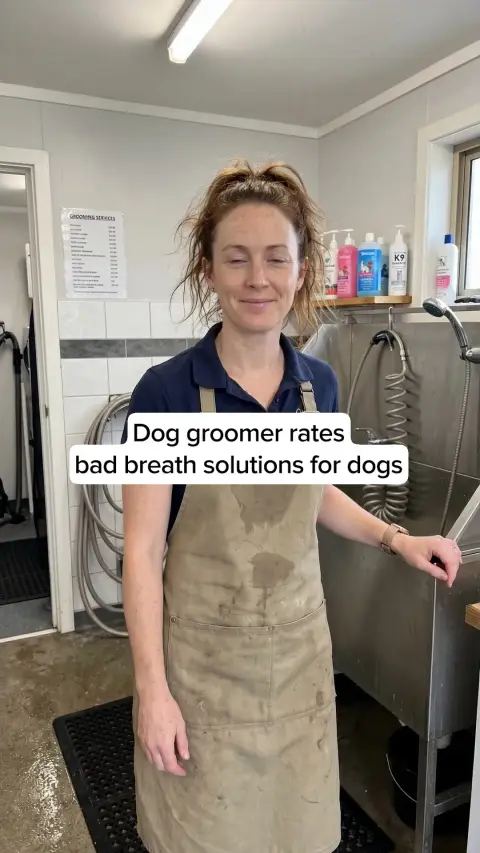 Healthy Dog 24/7 ad: Vets Love It. Dogs Love It. Owners Trust It.