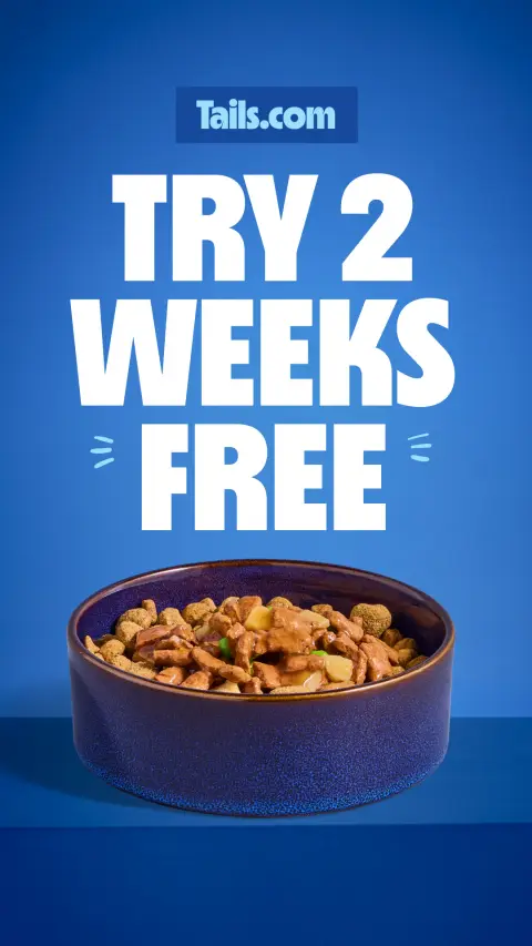 tails.com ad: Tailored bowls. Happier, healthier dogs 🐶