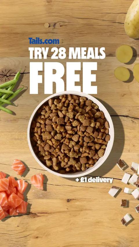 tails.com ad: Made in the UK, just for them. 💖