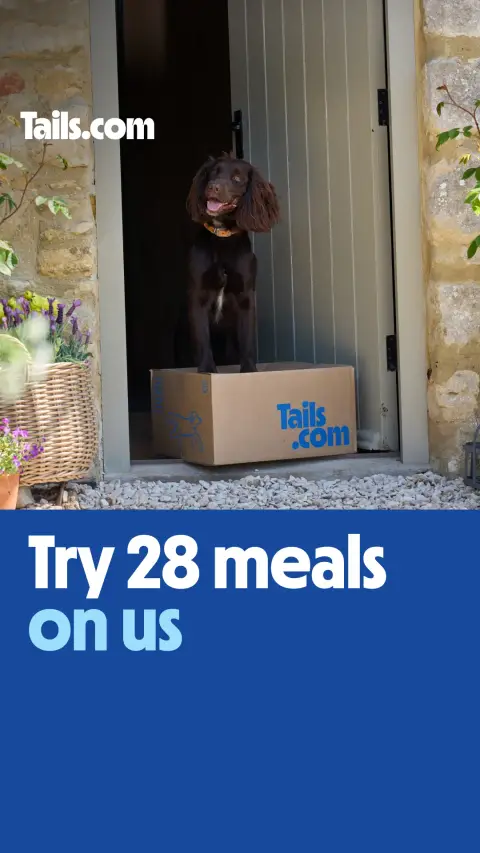 tails.com ad: Meet your dog’s personalised plan 🎉