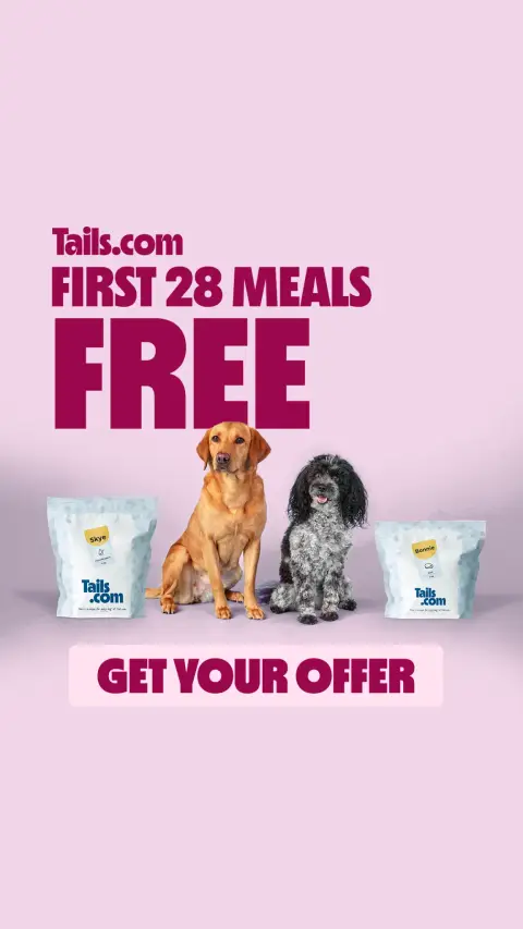tails.com ad: Meet your dog’s personalised plan 🎉