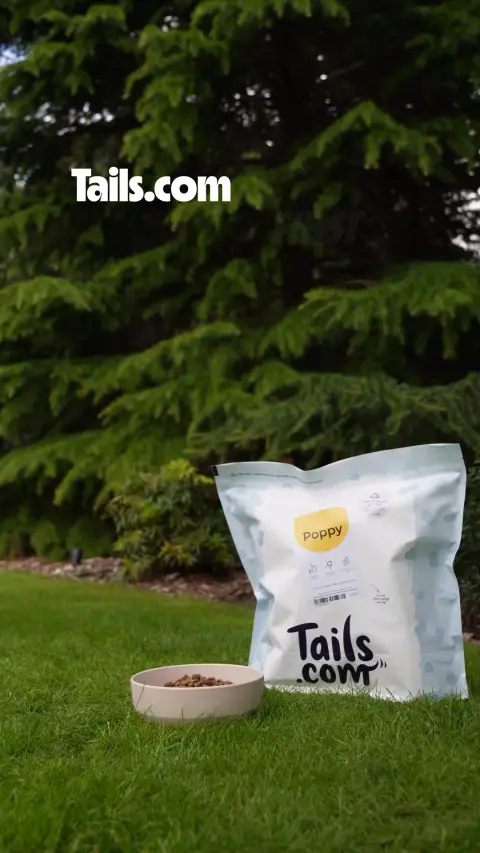 tails.com ad: Made in the UK, just for them. 💖