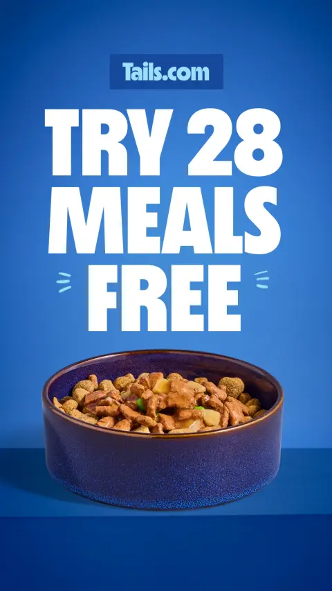tails.com ad: Tailored bowls. Happier, healthier dogs 🐶