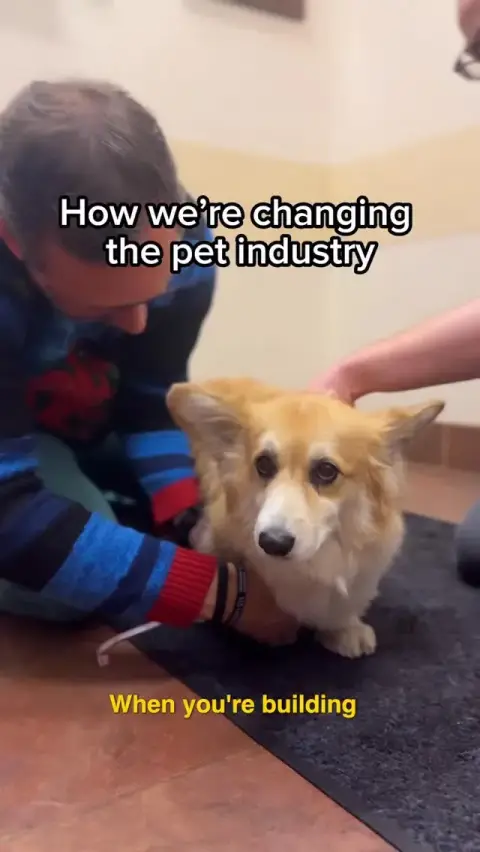 Notion ad: When your dog’s health is on the line, details matter. A lot of what we do…