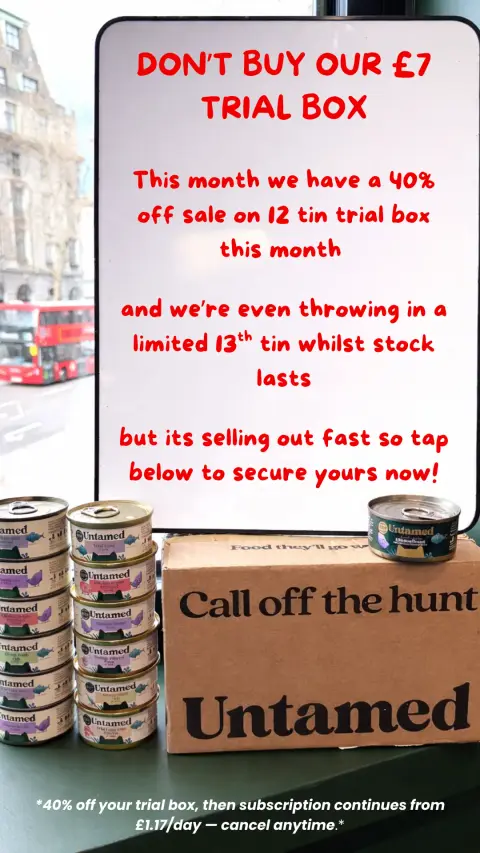 Untamed ad: Grab Your £7 Trial Box Today! 😻